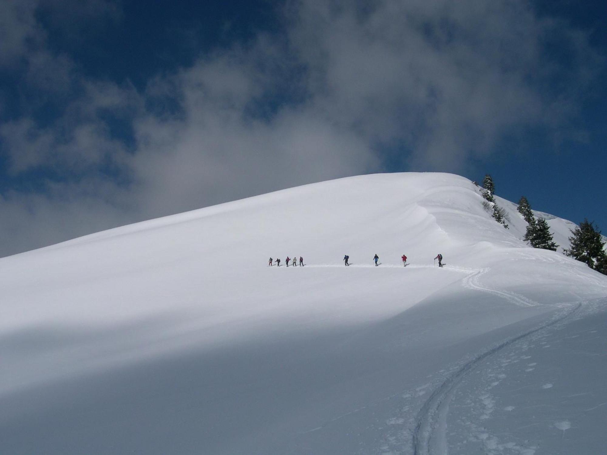 Feriennest Leitner Maria Alm am Steinernen Meer