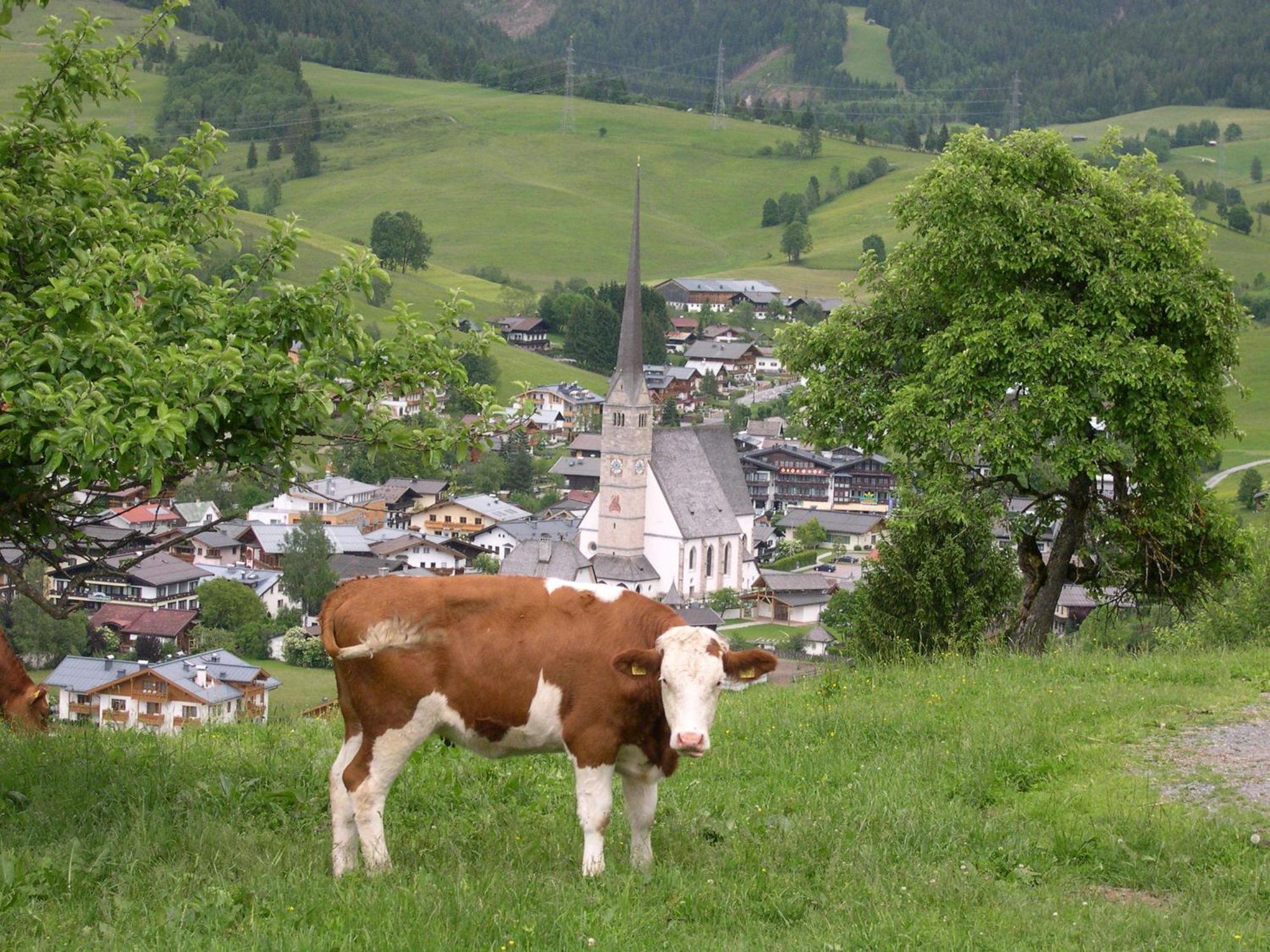 Feriennest Leitner Maria Alm am Steinernen Meer